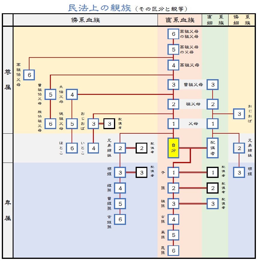 親族とは、広い意味では血族と姻族の総称です。ただし、民法上の解釈では、少し範囲が狭くなり、親族とは「６親等内の血族と、配偶者および、３等親内の姻族」と規定されています。民法では、親族は相続や遺産分割など、様々な場面で重要な役割を果たします。